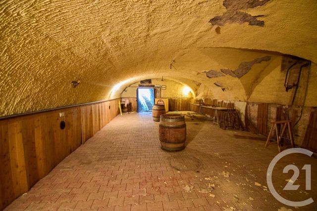 Maison à vendre - 8 pièces - 500 m2 - St Etienne La Varenne - 69 - RHONE-ALPES