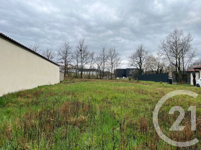terrain - MONTMERLE SUR SAONE - 01