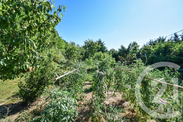 Afficher la photo en grand Maison à vendre - 5 pièces - 301,95 m2 - Jassans Riottier - 01 - RHONE-ALPES