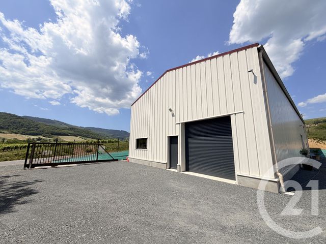 Appartement Local &agrave; louer - 2 pi&egrave;ces - 180 m2 - Letra - 69 - RHONE-ALPES