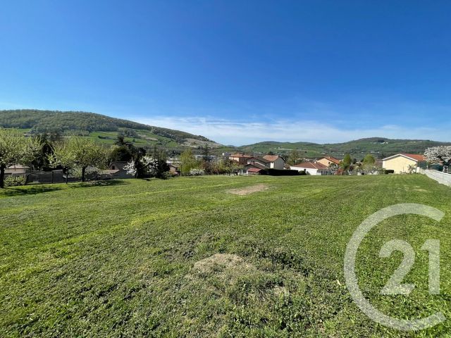 terrain - PONTCHARRA SUR TURDINE - 69